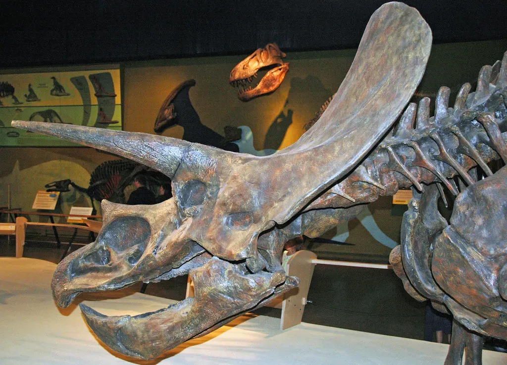 Dining Innovations: Teeth, Guts, and New Ways to Eat Plants (James St. John, Flickr, CC BY 2.0)