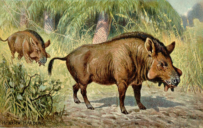 Entelodon: The Hell Pig That Ate Everything (Image Credits: Wikimedia)