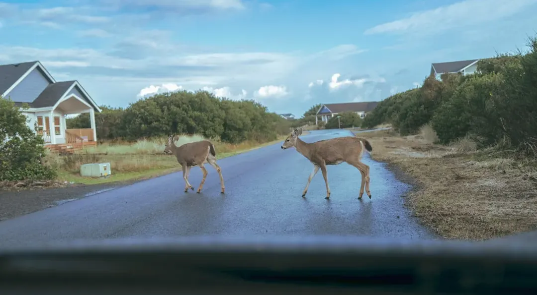 Preventing Harmful Development and Infrastructure (Image Credits: Unsplash)