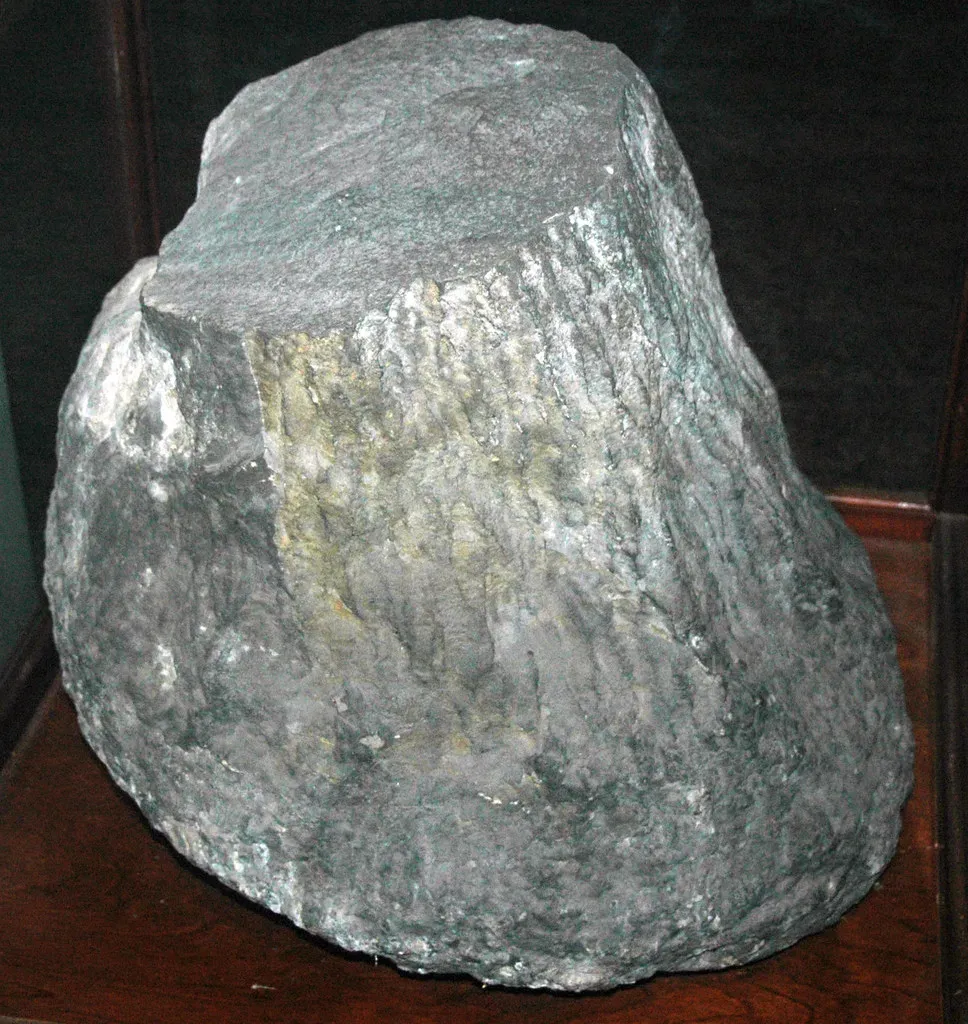 3. The Gilboa Fossil Forest: Earth's Oldest Forest, Frozen in Stone (James St. John, Flickr, CC BY 2.0)