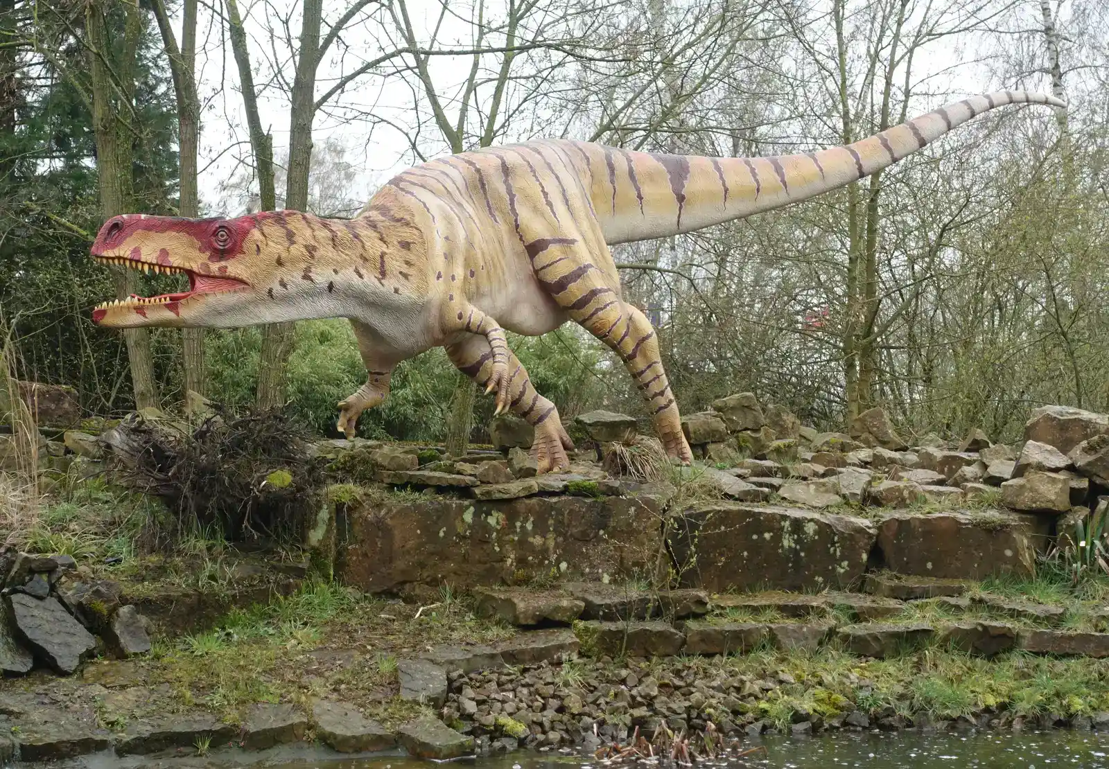 Wiehenvenator albati (CC BY-SA 4.0)