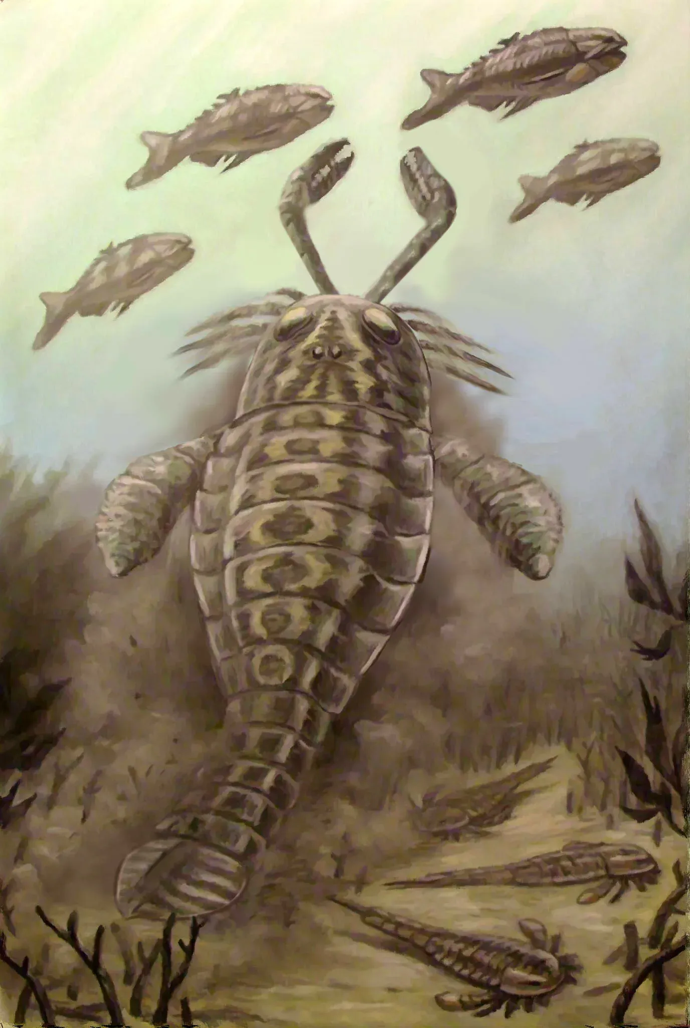 Pterygotus: The Six-Foot Sea Scorpion (Image Credits: Wikimedia)