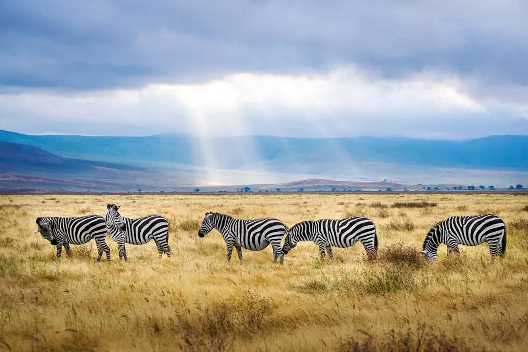 Leo – Sunlit Savannahs and Golden Deserts (Image Credits: Unsplash)
