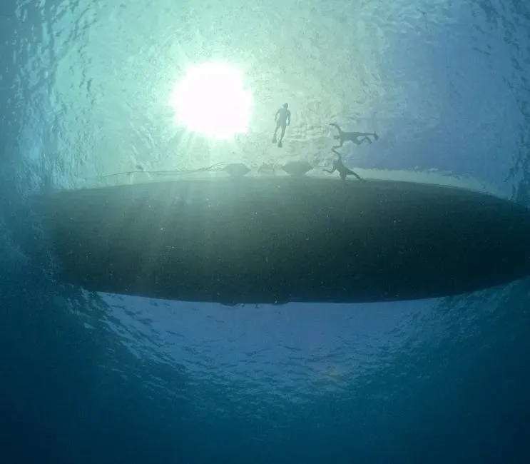 7. The Persistent Reports From Submarine Crews (Image Credits: Pexels)