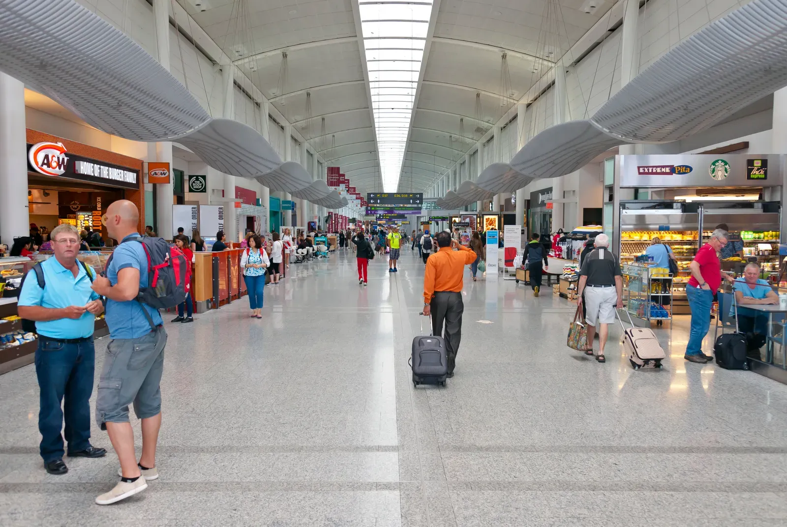 You’re Wired for Novelty and Exploration (By Daniel Case, CC BY-SA 3.0)
