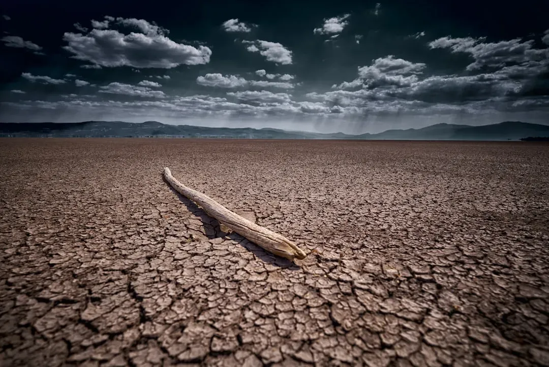 The Long Road Back: Recovery That Took Millions of Years (Image Credits: Unsplash)