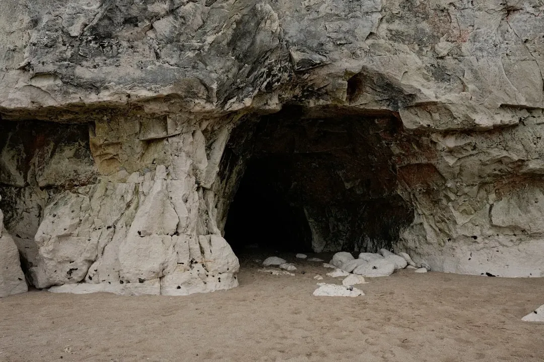 What on Earth Is a Paleoburrow? (Image Credits: Unsplash)