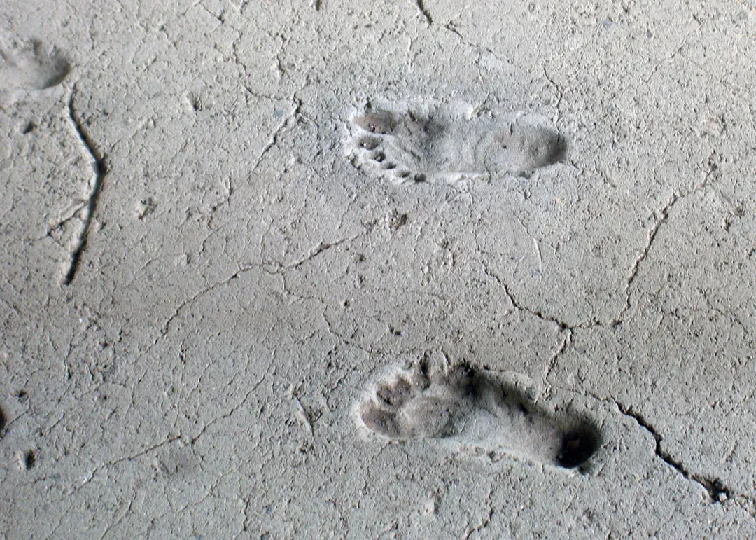 A Lakebed Time Capsule: How the White Sands Footprints Were Found (Transferred from en.wikipedia to Commons.(Original text: self-made), CC BY-SA 3.0)