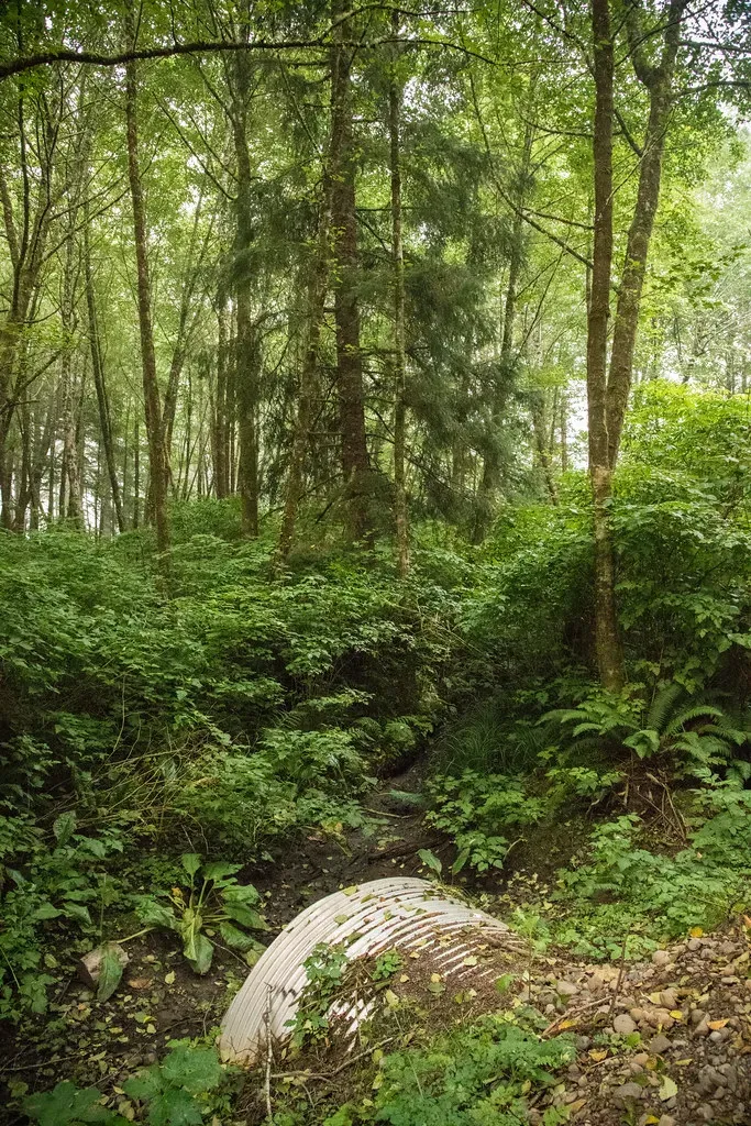 Support Financial Mechanisms for Ecosystem Protection (Image Credits: Flickr)