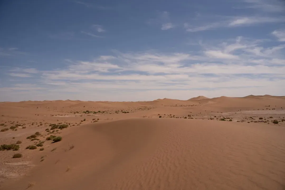 The Rapid Collapse of a Green World (Image Credits: Unsplash)