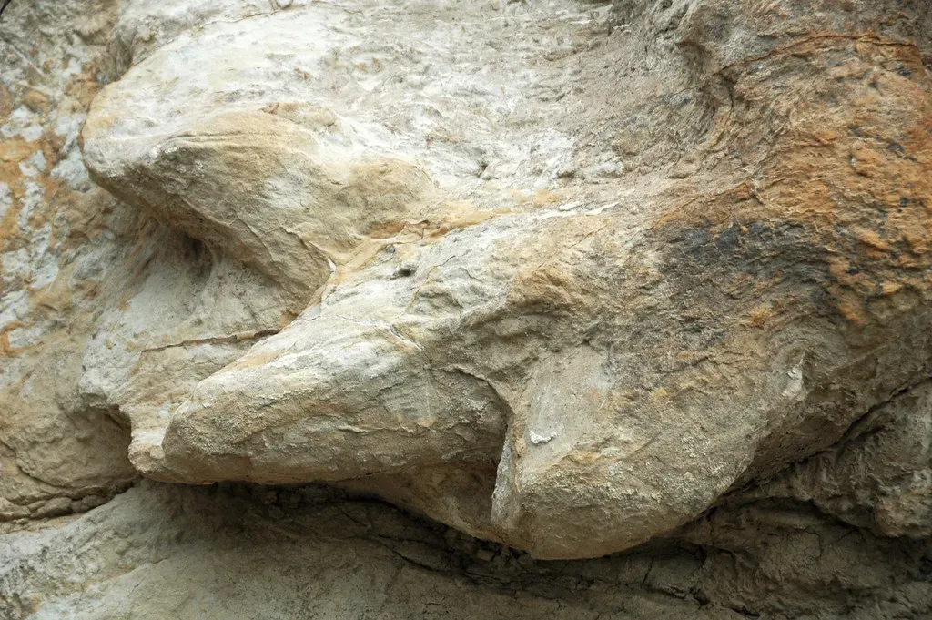 6. Triceratops Trail, Colorado: Footprints in an Ancient Sand Dune Field (James St. John, Flickr, CC BY 2.0)