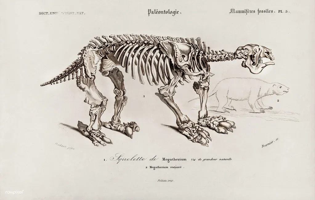 #2 - Some Were Genuinely the Size of Elephants (Free Public Domain Illustrations by rawpixel, Flickr, CC BY 2.0)