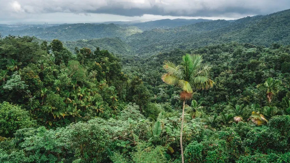 Tropical Lowlands and Equatorial Refugia (Image Credits: Pexels)