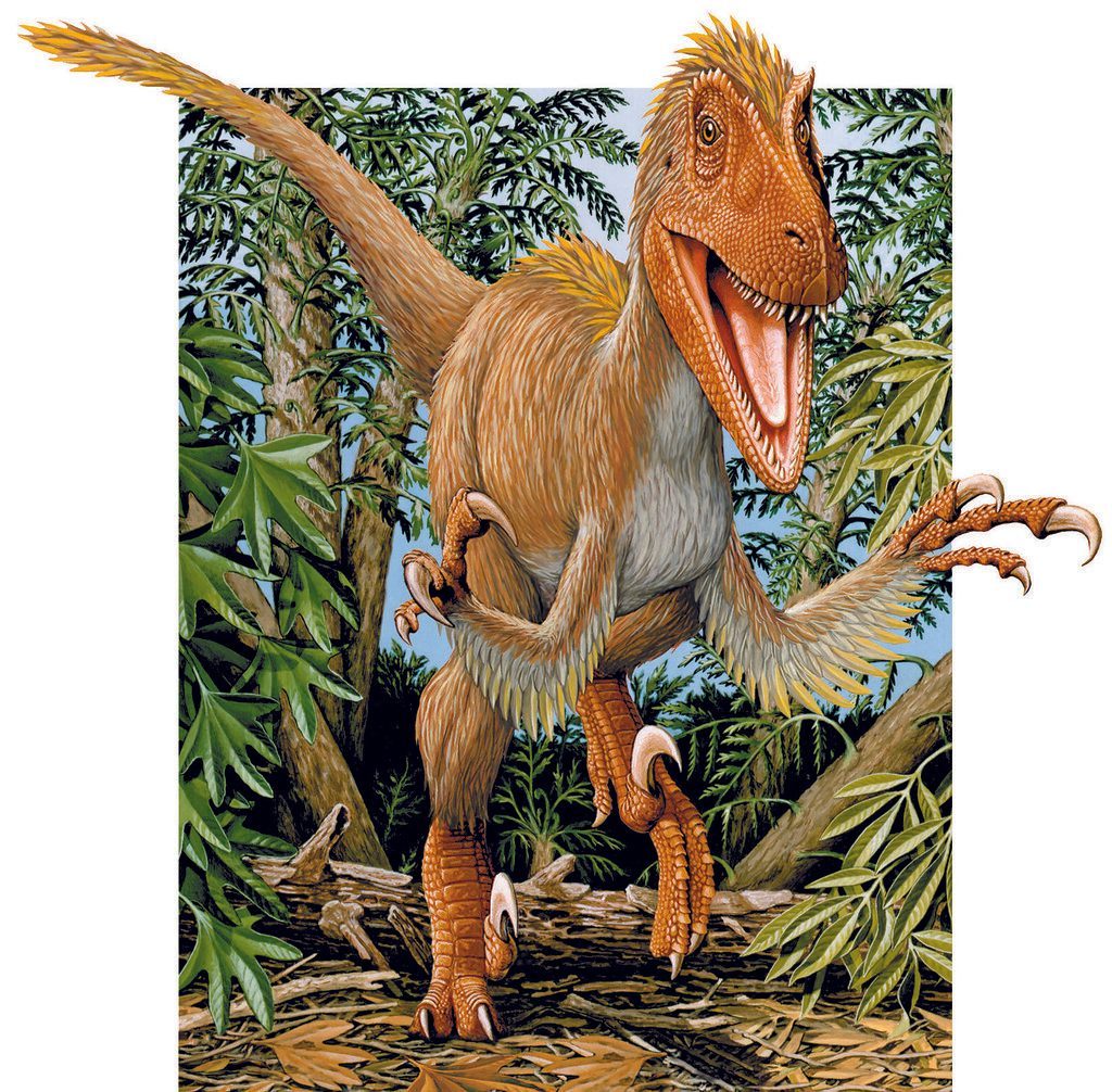 Many Dinosaurs Sported Colorful Feathers (Image Credits: Flickr)