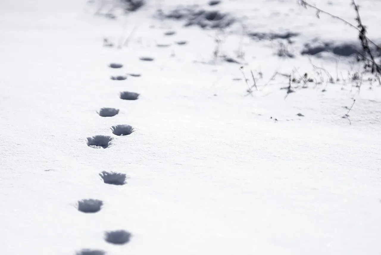 Conclusion: The Ground Still Has Something To Say (Image Credits: Pixabay)