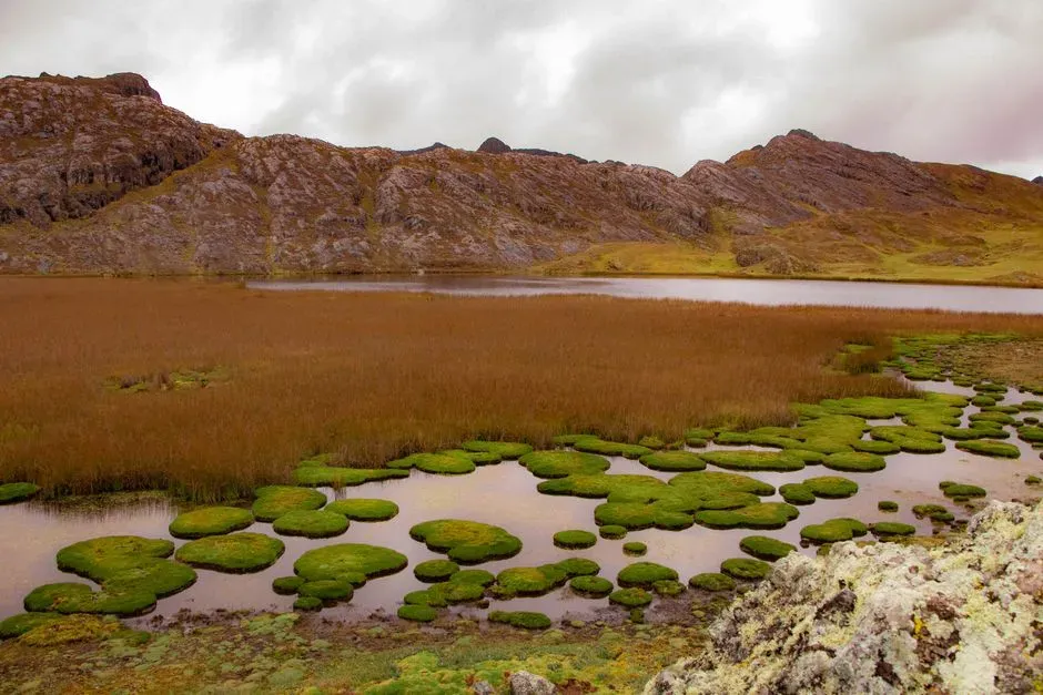5. The Farmer’s Field That Revealed a Giant Prehistoric Lake (Image Credits: Pexels)