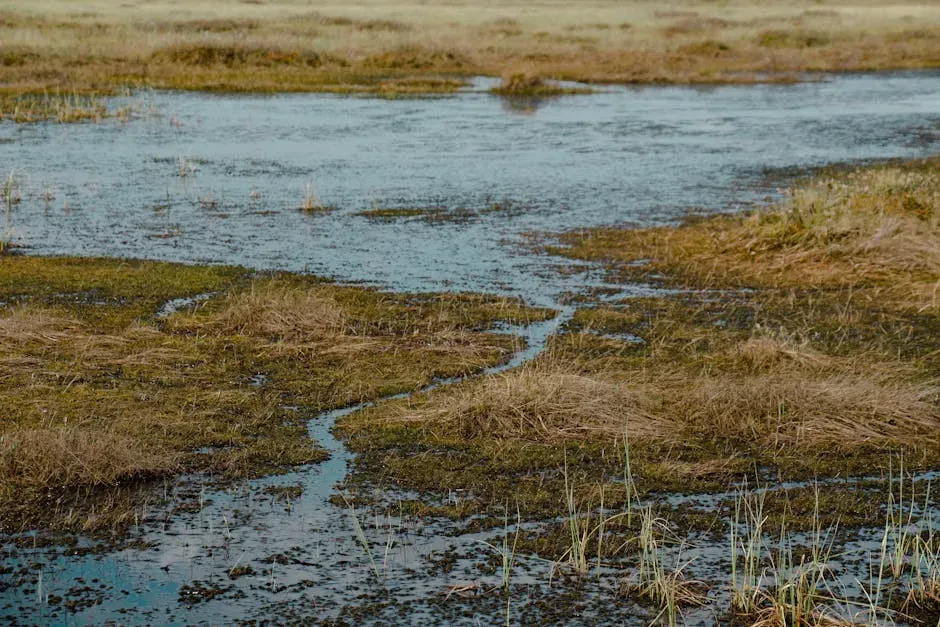 2. Super‑Monsoon Lowlands: Flooded, Mud‑Choked Death Traps (Image Credits: Pexels)