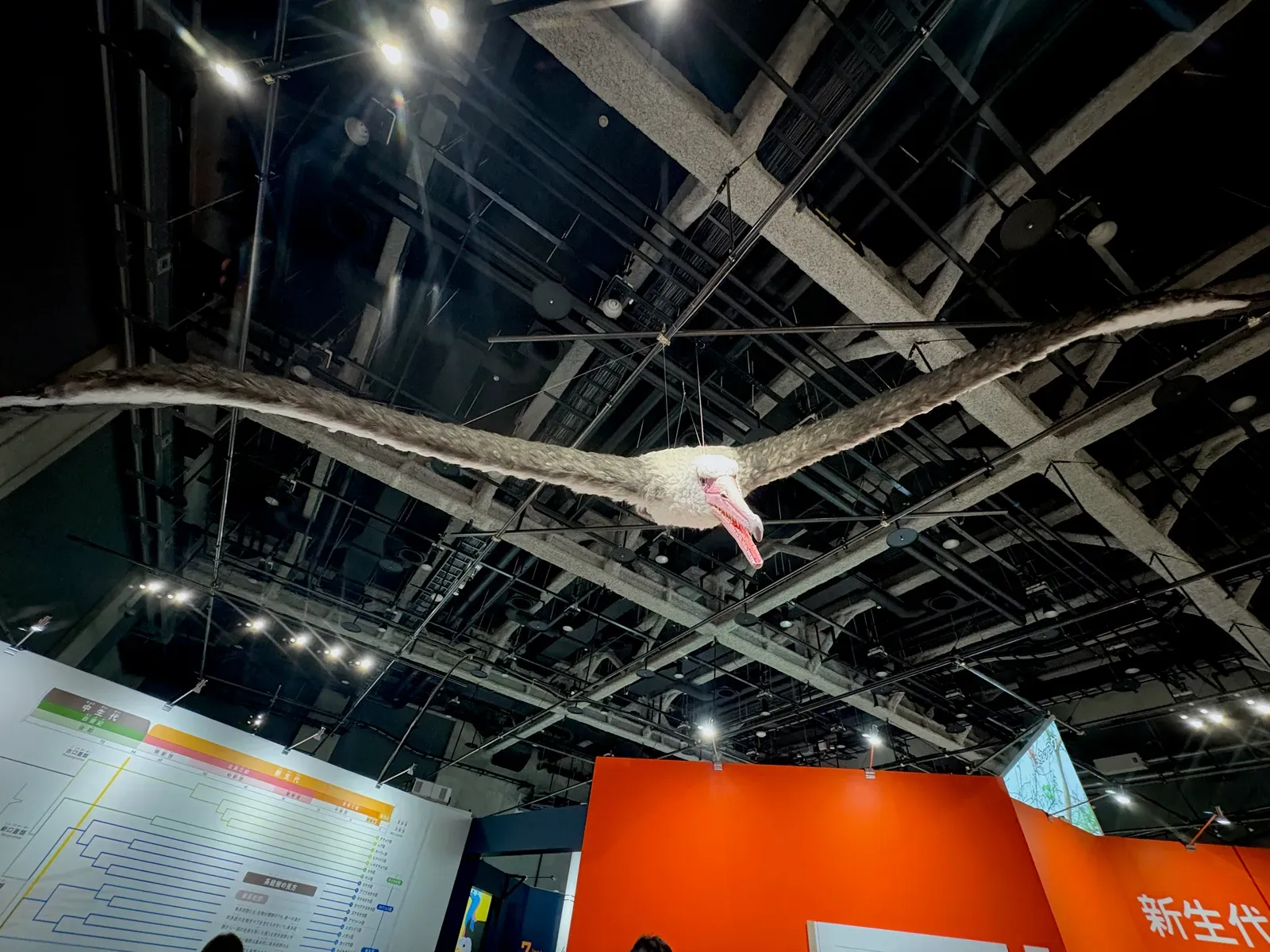 What This Tells Us About the Limits of Flight (Image Credits: Wikimedia)