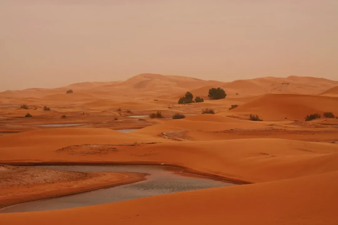Ancient Rivers, Lakes, And Green Worlds Now Entombed In Desert (Image Credits: Unsplash)