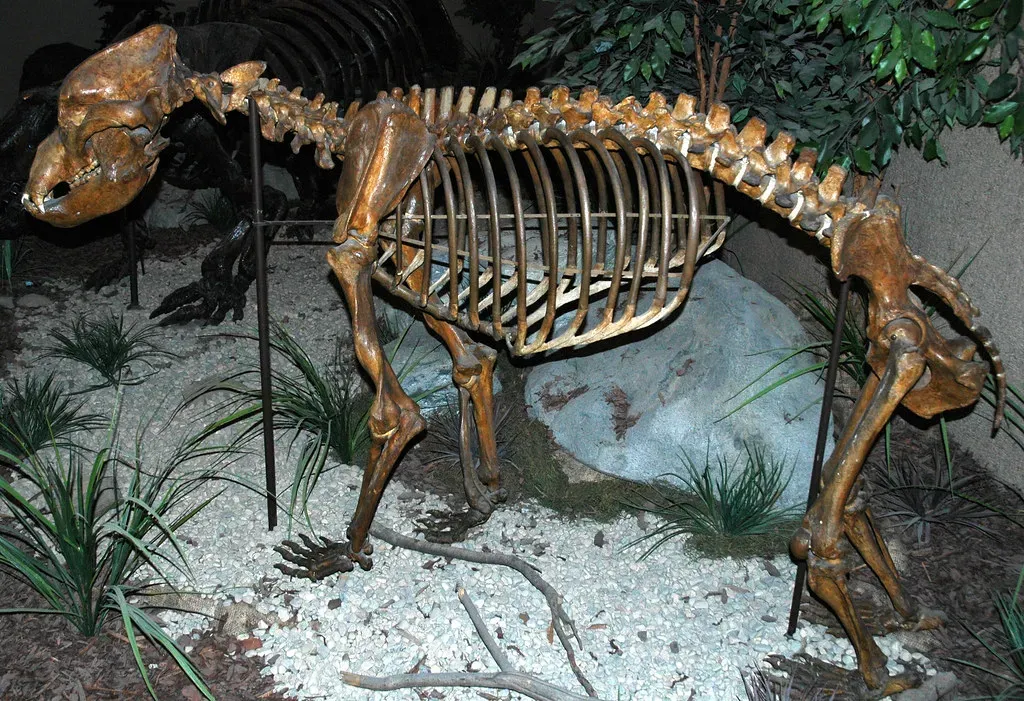 #12 - Loaned Bones Spend More Time Traveling Than On Display (James St. John, Flickr, CC BY 2.0)