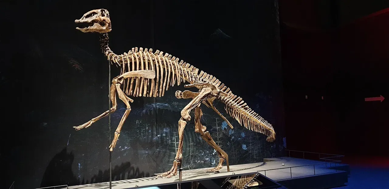 Rethinking Dinosaur Migration: Less Like Birds, More Like Moose? (Image Credits: Pixabay)