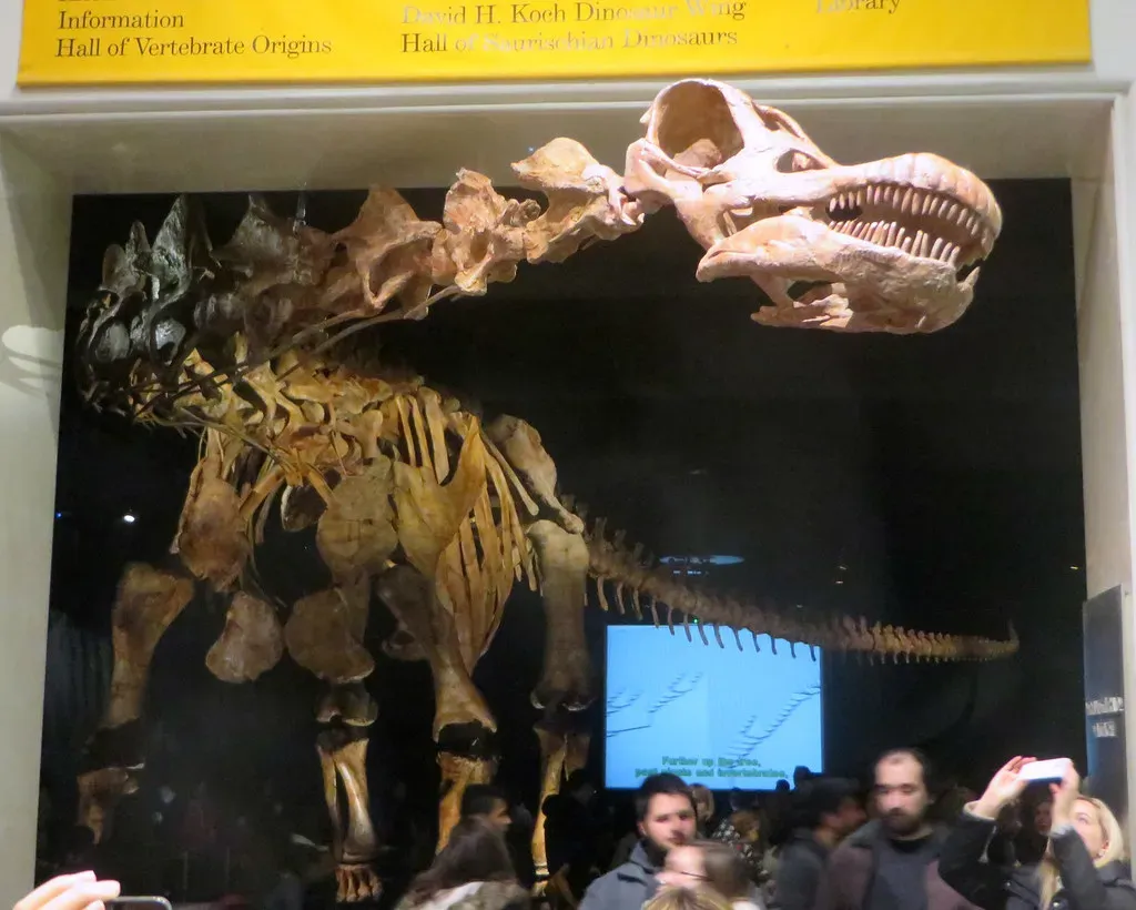 2. The Titanosaur at the American Museum of Natural History, New York City (edenpictures, Flickr, CC BY 2.0)