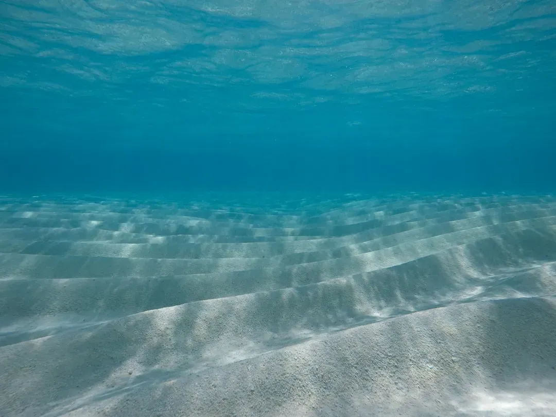 A Warm, Shallow, Murky World in the Middle of the Continent (Image Credits: Unsplash)