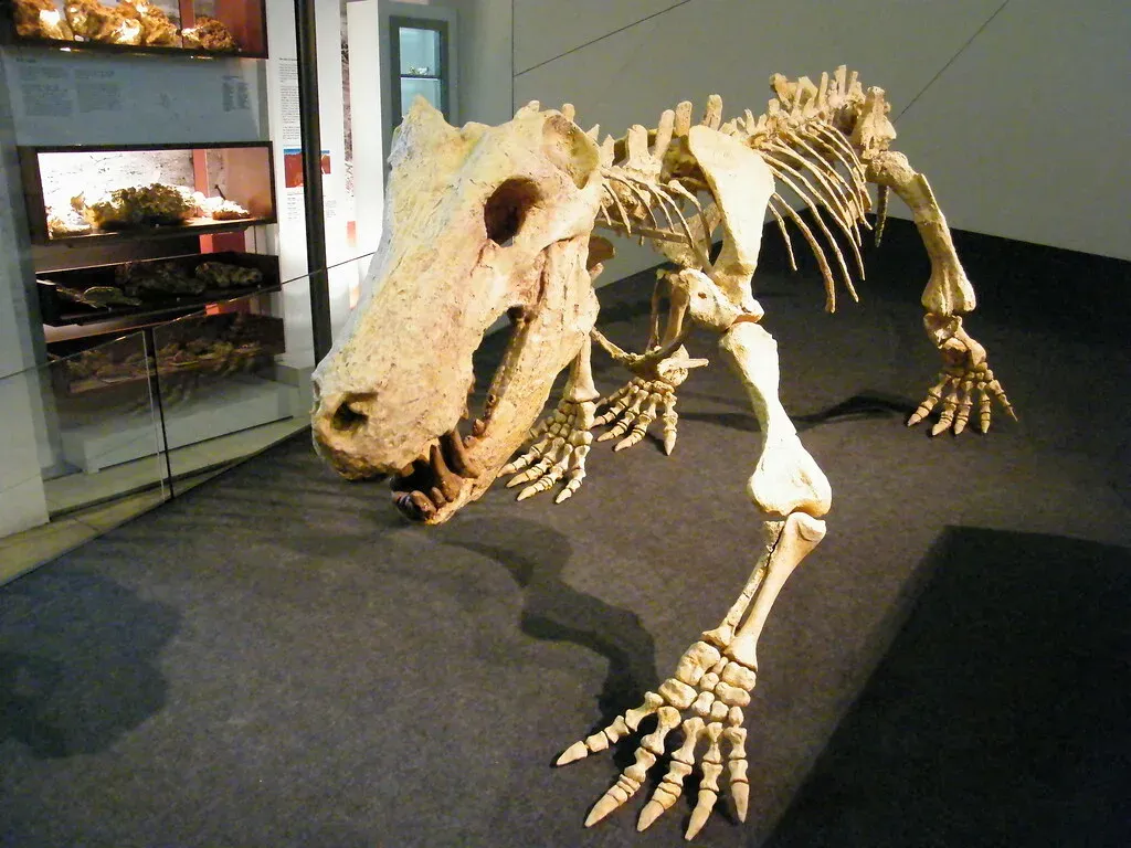 Conclusion: The World Before Dinosaurs Was Wilder Than You Imagine (zayzayem, Flickr, CC BY-SA 2.0)