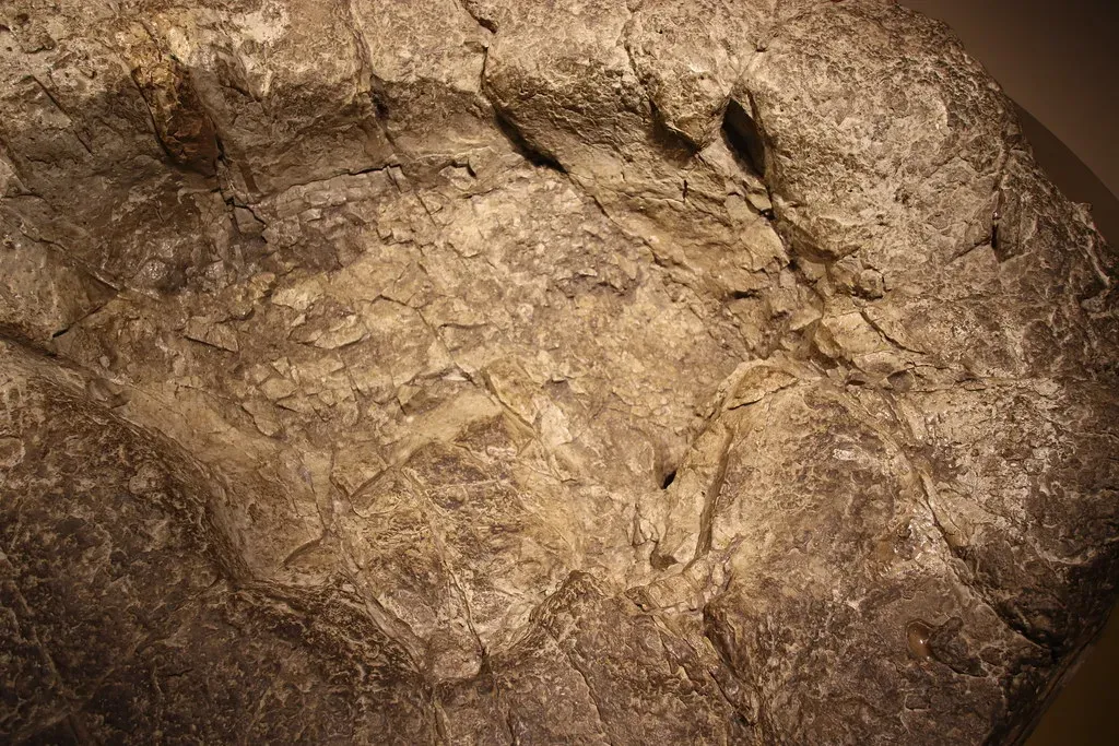 A Footprint So Big It Was Hiding in Plain Sight (Image Credits: Flickr)