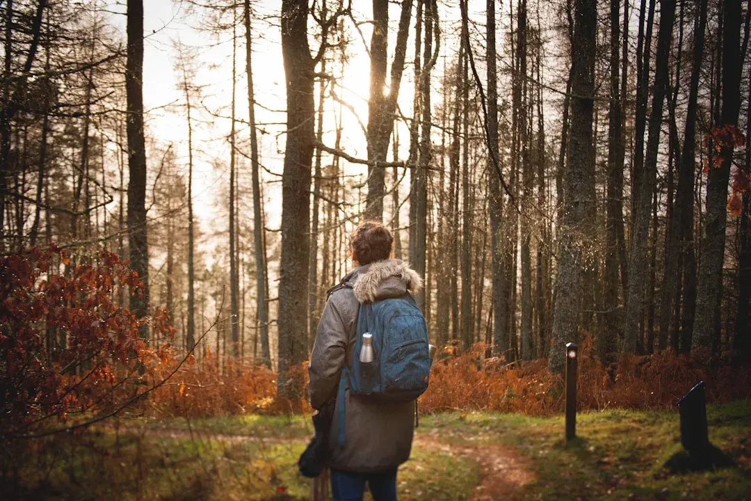 Sagittarius: The Trapped Adventurer (Image Credits: Unsplash)