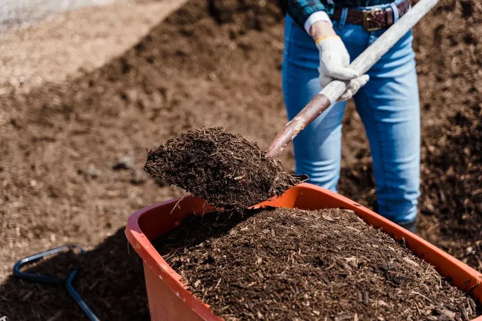 #11 It Acts Like a Slow-Release Battery for Plant Nutrition (Image Credits: Pexels)