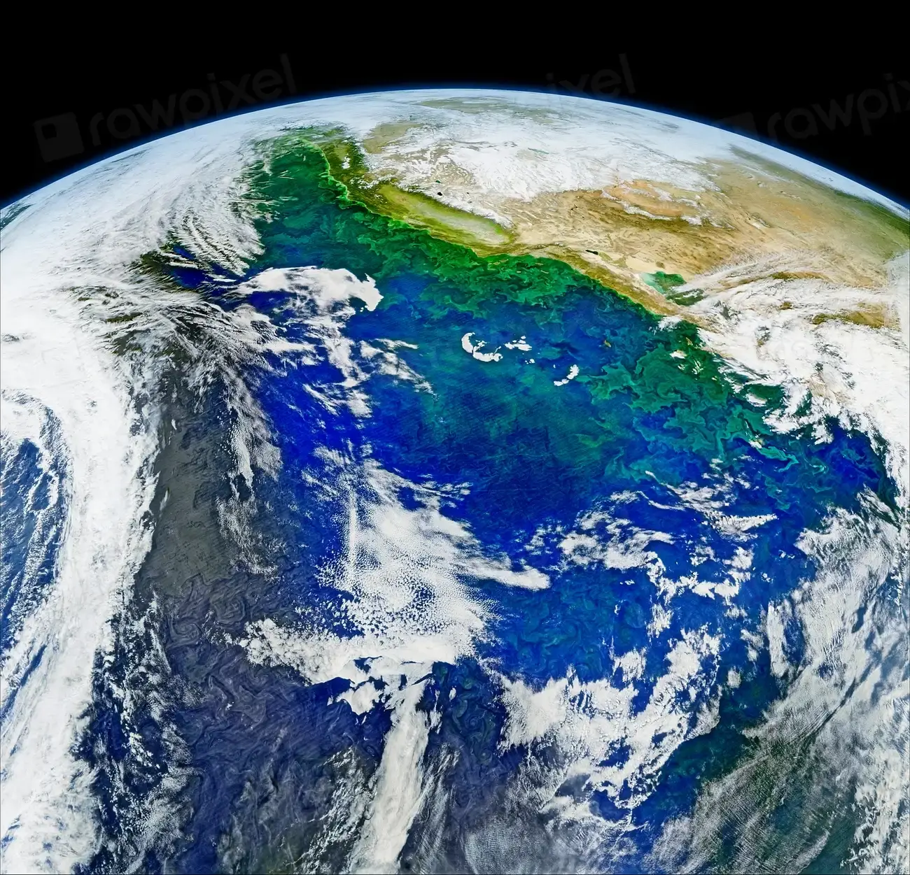 Ocean Currents as Climate Switches (Image Credits: Rawpixel)