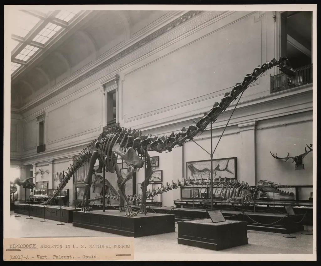 #1 - Only 3 to 4 Percent of the Fossil Record Has Ever Been Published (Image Credits: Rawpixel)