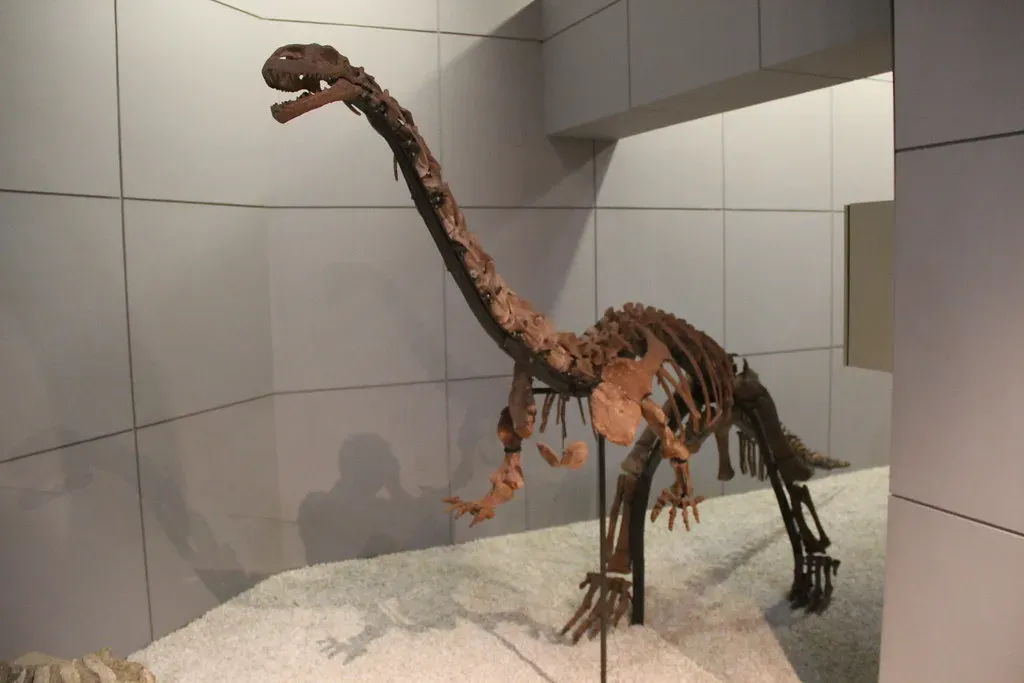 Evidence of Parental Feeding (Image Credits: Flickr)