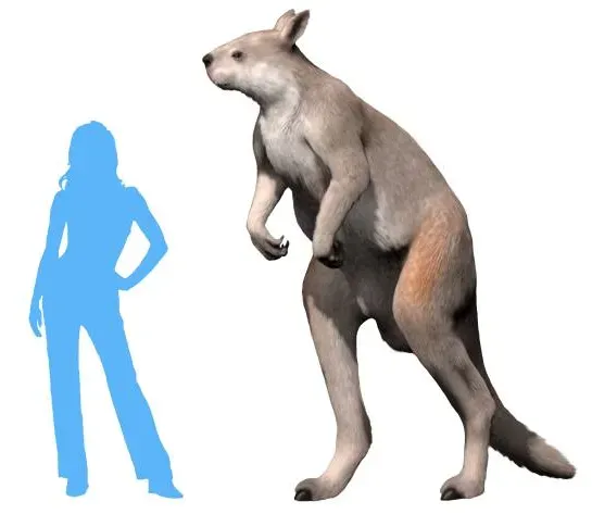 Procoptodon: The Giant Short-Faced Kangaroo (Image Credits: Wikimedia)