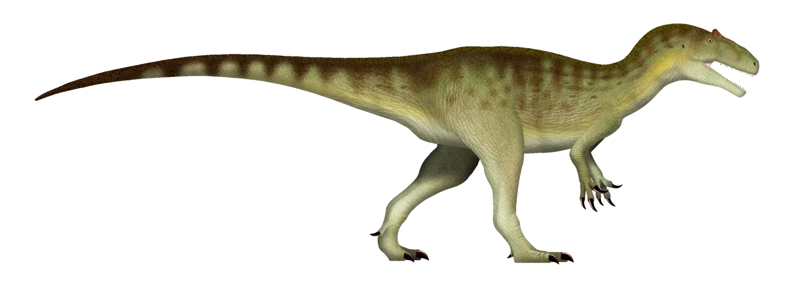 Allosaurus: The Jurassic Ambush Hunter (Image Credits: Wikimedia)