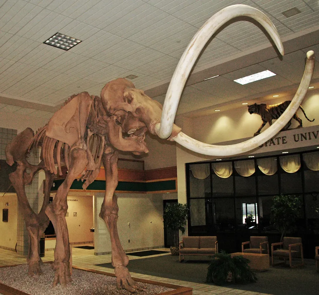 How We Know Mammoths Survived So Late (James St. John, Flickr, CC BY 2.0)