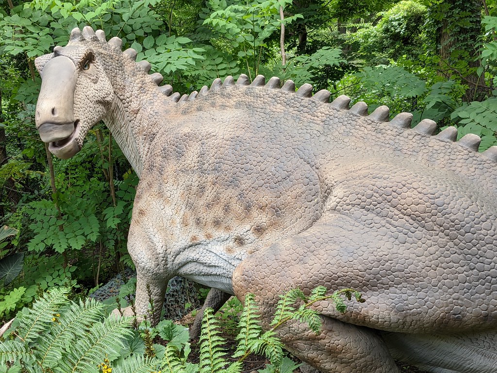 Their Name Literally Means 