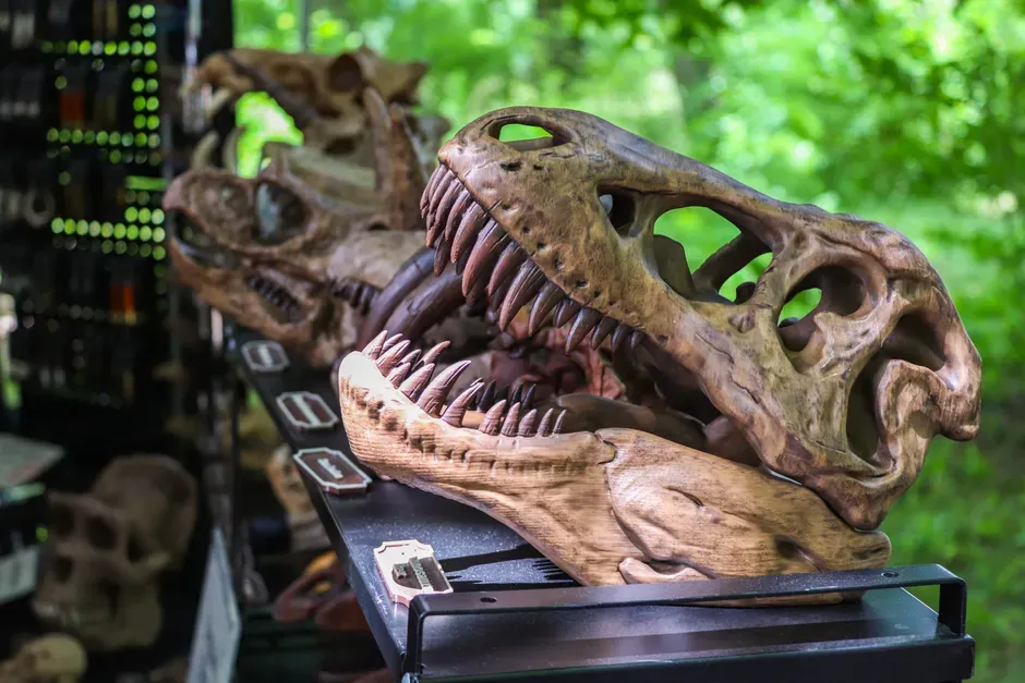 Conclusion: How Many Dinosaurs Are We Still Ignoring? (Image Credits: Pexels)