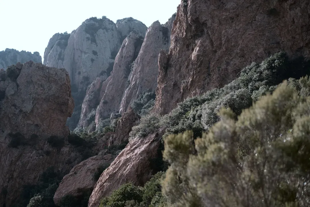 Why You Don’t See These Giants Today (Image Credits: Unsplash)