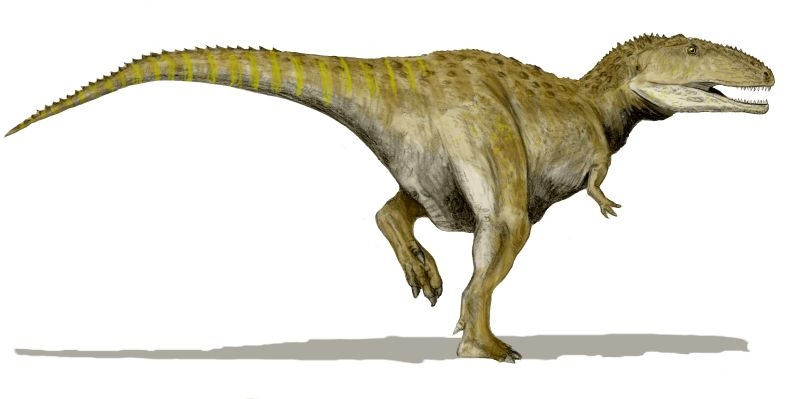 It Dominated a Lost World of Giants (Image Credits: Wikimedia)