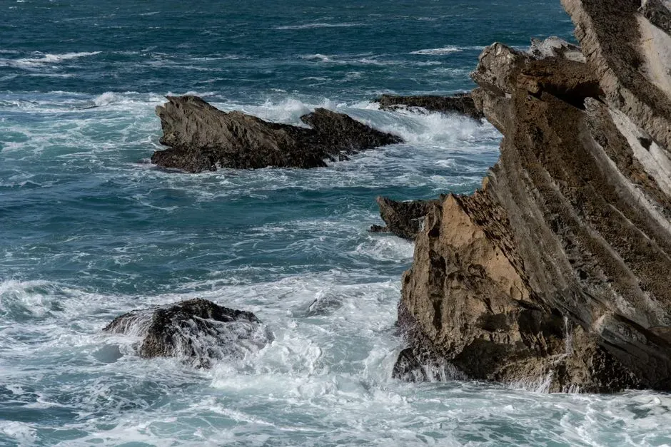 Why Ancient Seas Were Scarier Than Anything We Swim In Now (Image Credits: Pexels)