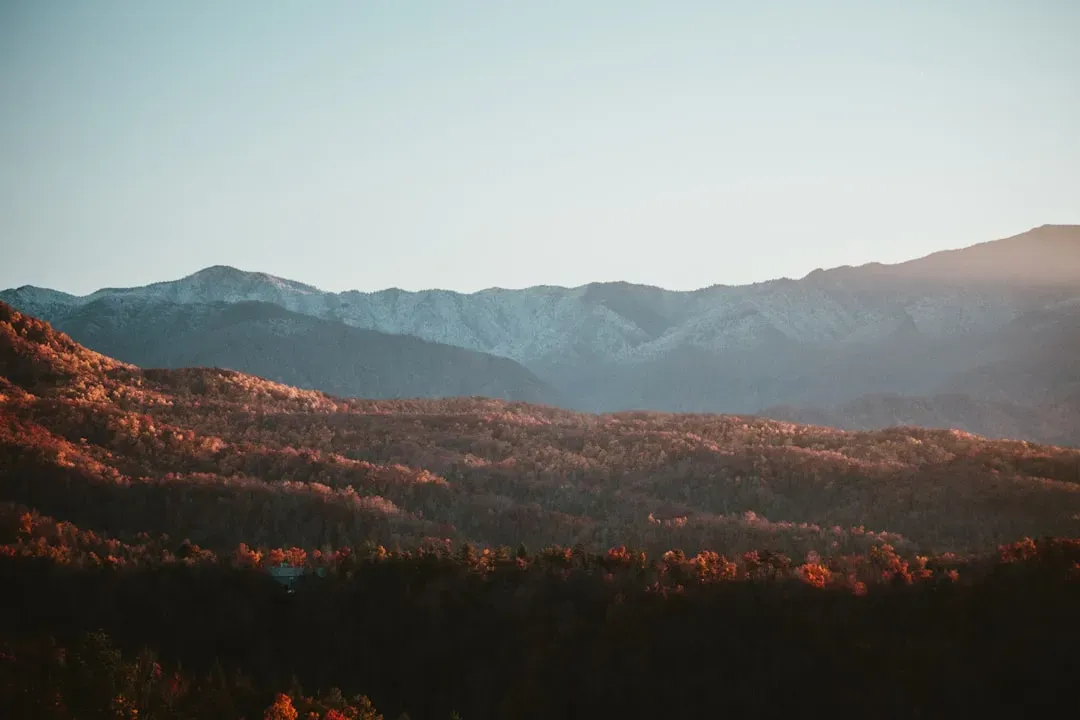 The Appalachian Mountains: Ancient Titans Worn Down by Time (Image Credits: Unsplash)