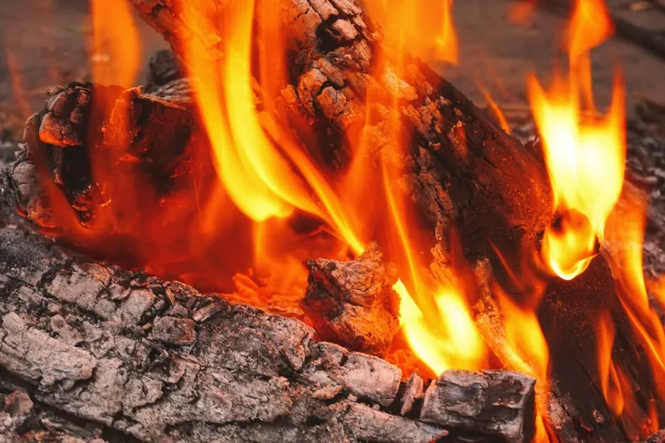 Fire, Cooking, and the Energy Revolution in Your Lineage (Image Credits: Pexels)