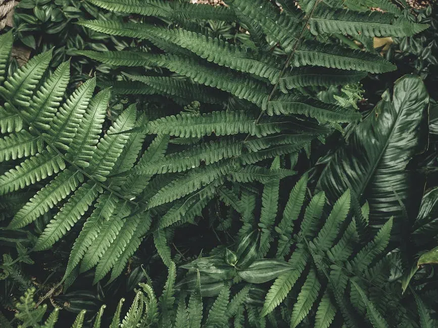 Seed Ferns: The Dominant Plants That Time Forgot (Image Credits: Pexels)