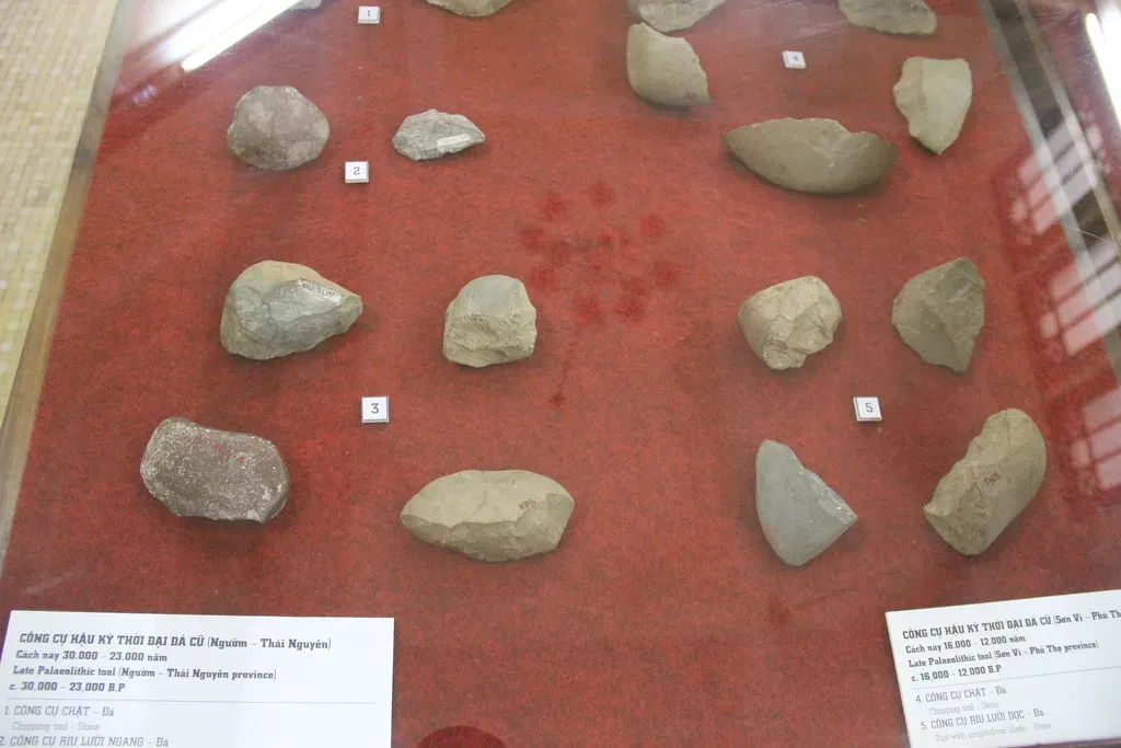 11. You Still Rely on the Same Problem-Solving Instincts as Your Prehistoric Ancestors (Image Credits: Flickr)