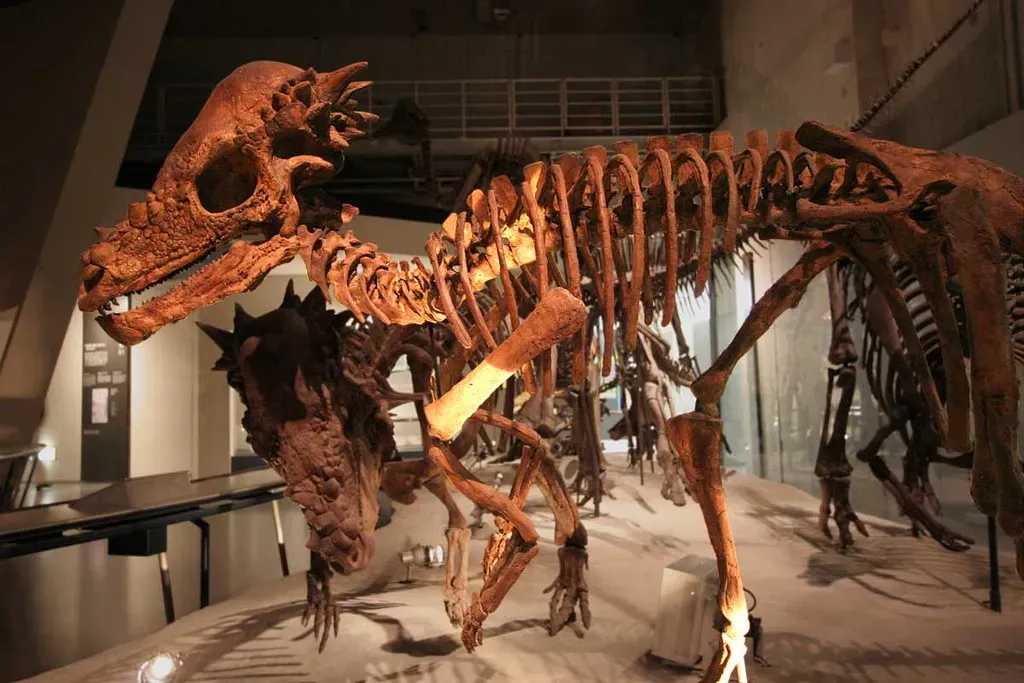 How Bone Texture and Growth Rings Gave the Game Away (Kabacchi, Flickr, CC BY 2.0)