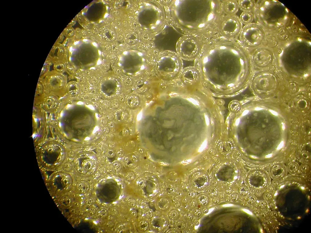 The Tiniest Pioneers That Changed Everything (Image Credits: Flickr)