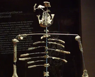 #2 - She Was Shockingly Complete for Her Age (Image Credits: Wikimedia)