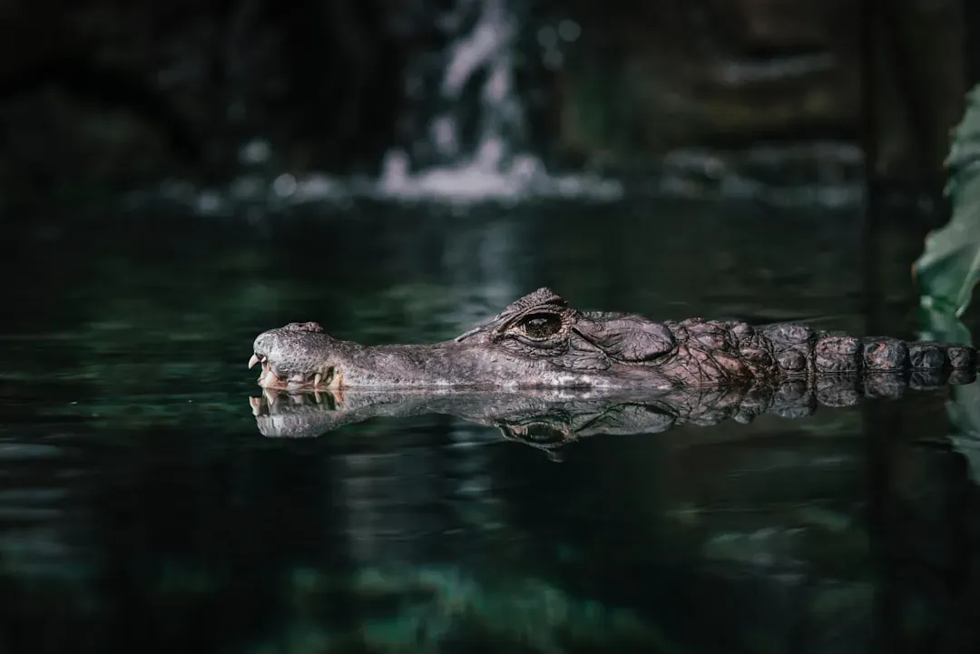 The Timeless Connection Between Patience and Cosmic Power (Image Credits: Unsplash)